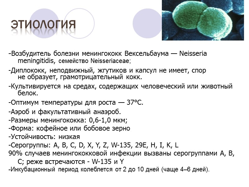 -Возбудитель болезни менингококк Вексельбаума — Neisseria meningitidis, семейство Neisseriaсeae; -Диплококк, неподвижный, жгутиков и капсул